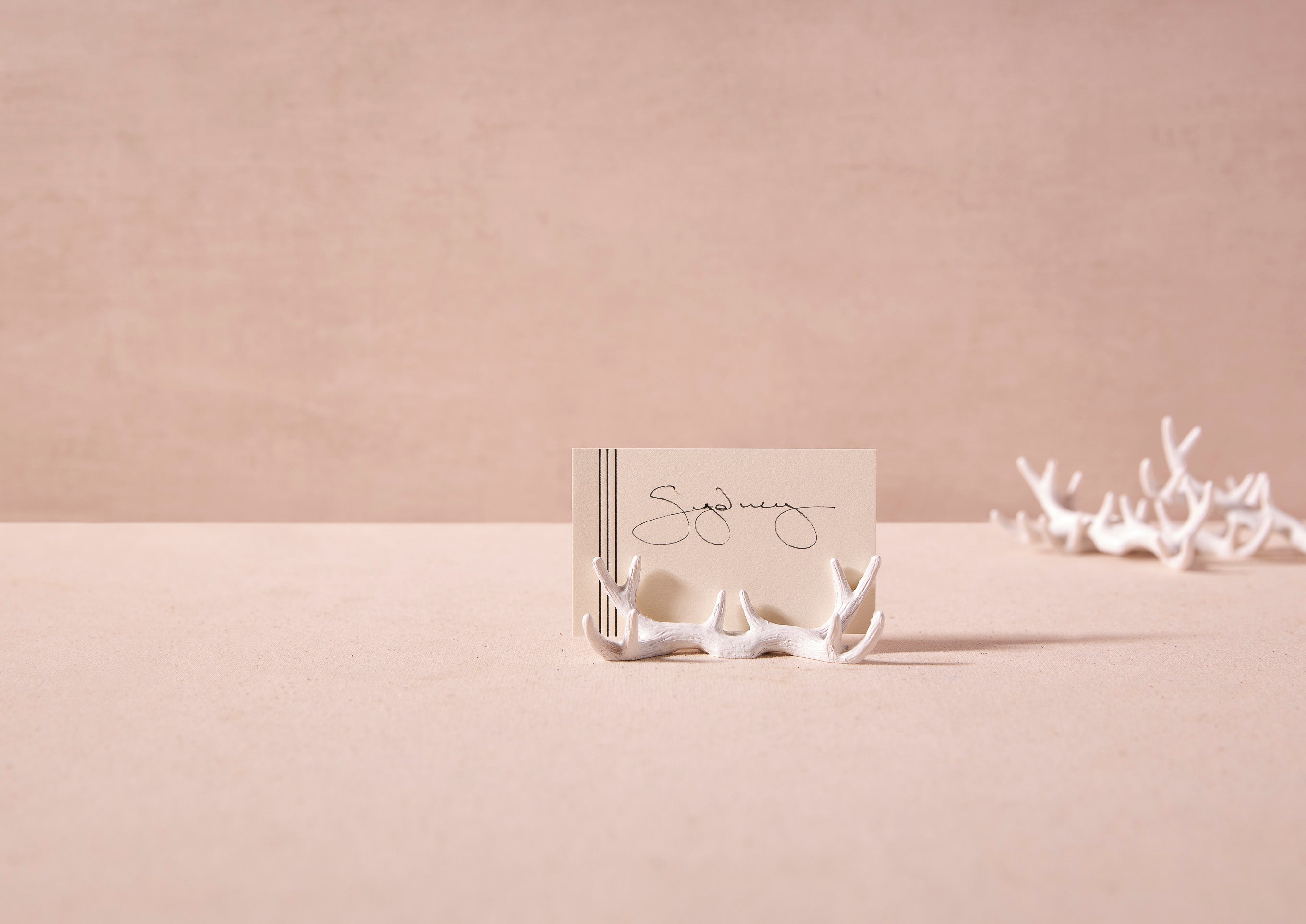 Antler Placecard Holders, Set of 4